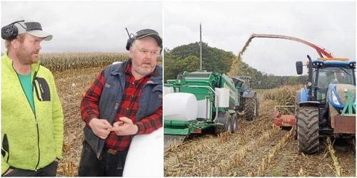 Majsen packas i rundbal