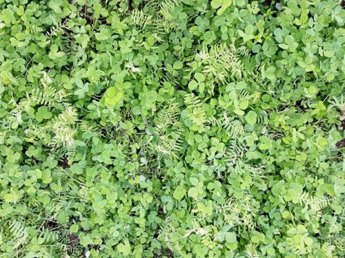 Förändringar först nästa stödperiod