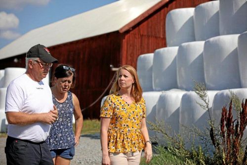 C vill lägga flera miljarder på torkstöd