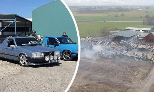 Lyckad besiktning och branden där 130 djur dog