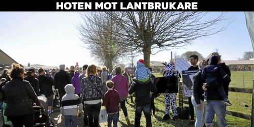 Olika råd om hur man konfronterar aktivister