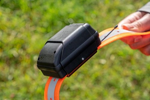 GPS-band håller koll på djuren