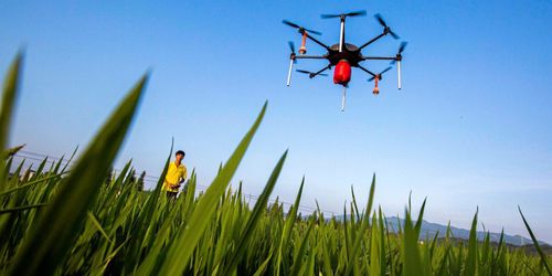 Ny rapport: Okända risker inom jordbruket avslöjas