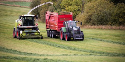 Här tas den femte vallskörden