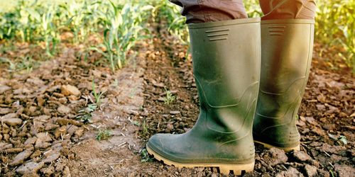 EU:s satsning på unga bönder slår fel