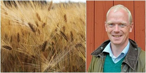 Förslaget: Så kan fältförsöken säkras