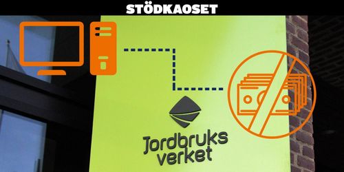 Grafik: Jordbruksverkets IT-system från 2010 till nu