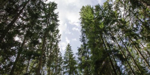 ”Klimatångesten ska inte straffa ut landsbygden”