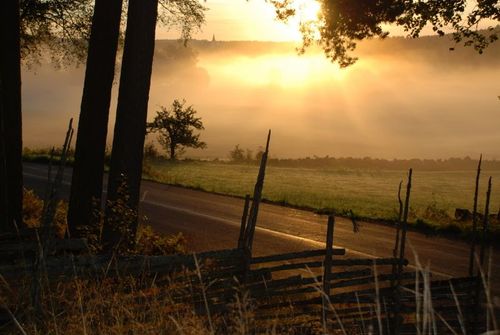 Debattörerna kräver att Sverige återtar kontroll över jordbrukspolitiken från EU och verkar för att ta bort livsmedel från WTOs och EUs handelsregler.