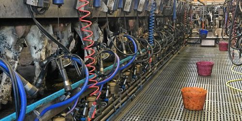 ”Arlas kontrollanter kan vara oförstående”