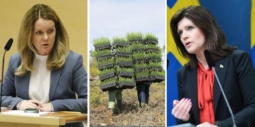 Olika besked om skogsarbetare från olika ministrar