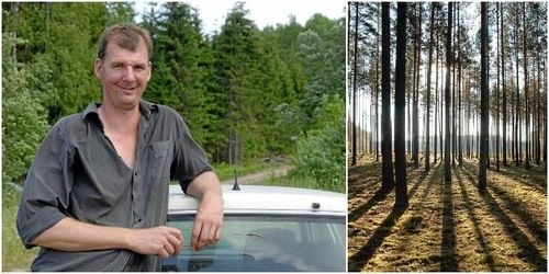 Svenska skogsägare kan gräva guld i Baltikum