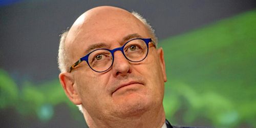 Hogan: Ge stöd för trädplantering på jordbruksmark