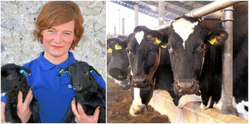 ”Förkortningen som säkrar svensk djurhälsa”