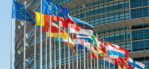 På onsdag röstar EU om skogen