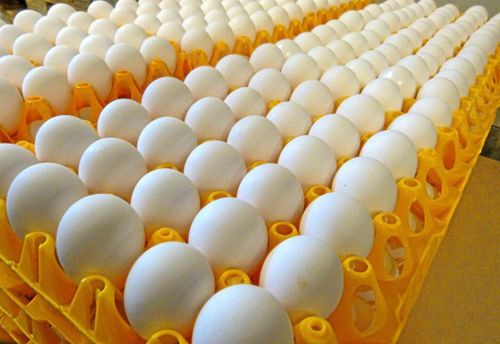 Äggstra mycket jobb till påsk