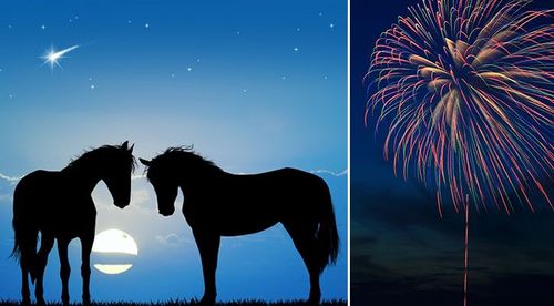 Politikerna i Södertälje sätter stopp för fyrverkerier vid andra tillfällen än nyårsaftonen. Och då blir det bara tillåtet att skjuta raketer under två timmar för att minska stressen för till hästar och hundar.