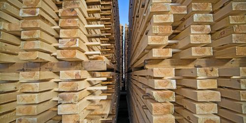 Bra första kvartal för skogsexporten