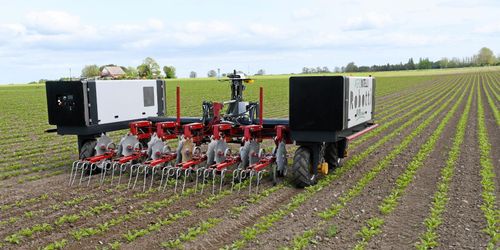 Bekämpa ogräset med precision