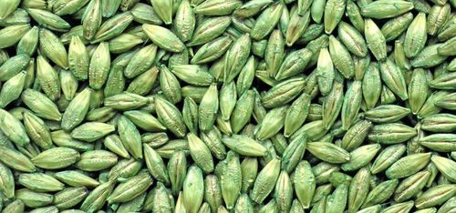 Biologisk bekämpning mer accepterad