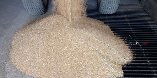 Ökat resultat för Skåne-Möllan