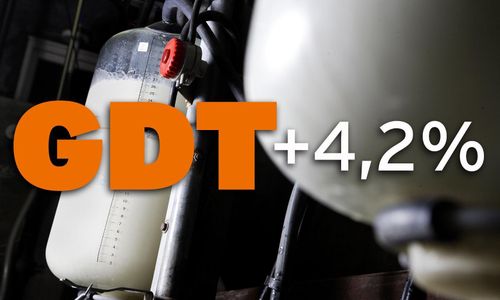 Mjölkprisindex fortsätter uppåt