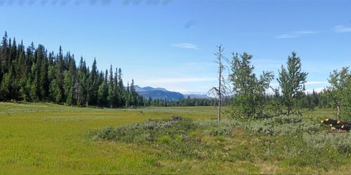 Folkomröstning i Vilhelmina: "Kommunen äger inte frågan"