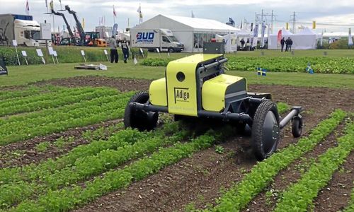 Ogräsrobot får utvecklingsstöd