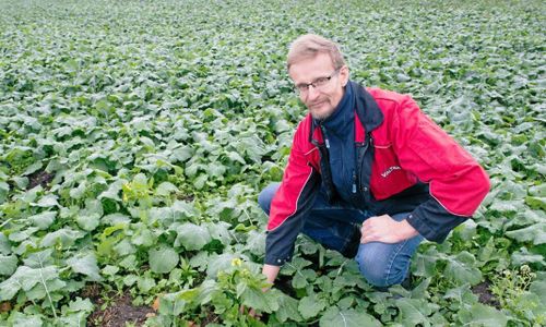 Bönder i Estland får sitt stöd i tid: ”Viktigt att veta”