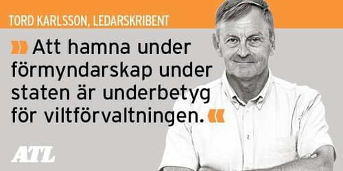 Lindra vildsvinsplågan utan statlig jakt
