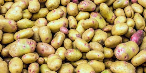 Hamstring får potatispriset att stiga