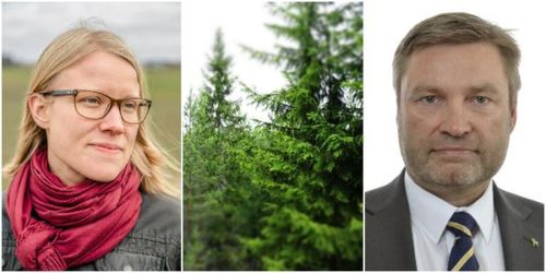 ”Dags för ordning och reda i skogspolitiken”