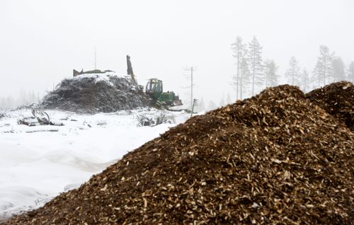 Nya siffror visar sjunkande priser på trädbränslen och torv.