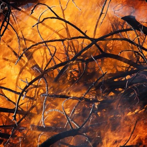 Känsligt läge i brandhärjade områden