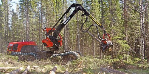 Ingen coronapanik i skogen - ännu