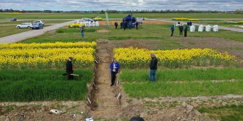 Gropen – bara ett dike på Borgebys inställda fältdagar