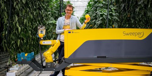 Ny robot skördar paprika