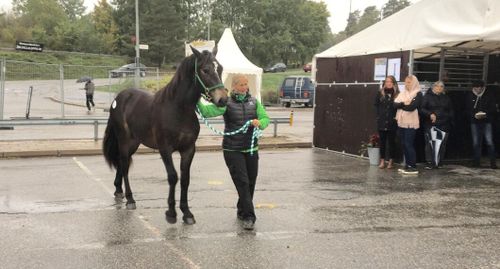 Kallbloden lockade köpare