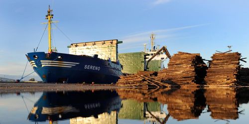 ”Globaliseringen är problemet i skogen”