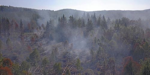 Kommun startar brandutbildningar