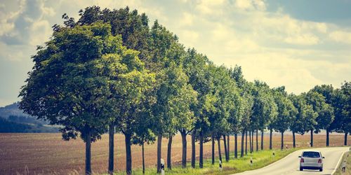 Torka och bränder i hela norra Europa