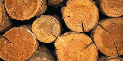 Satsning på nya material från trä