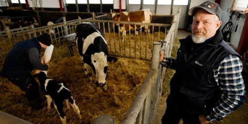 Här är Årets Mjölkföretagare