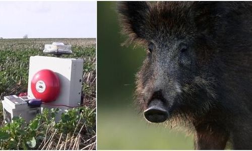 Ny fågelskrämma kan sätta skräck i klövvilt