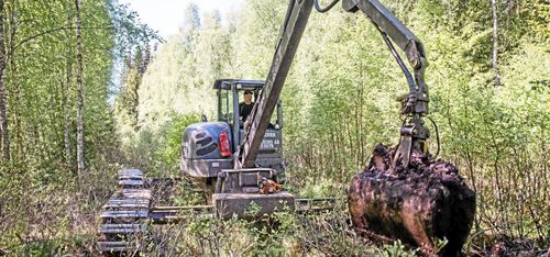 Unika maskinen maxar skogsarbetet
