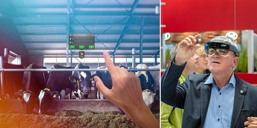 Framtiden sitter i glasögonen