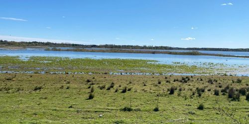 ”IT-strul drabbar Sveriges våtmarker”