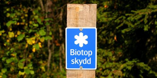 50 miljoner för att sköta skyddad skog