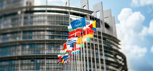 EU-parlamentet närmare nordisk skogslinje