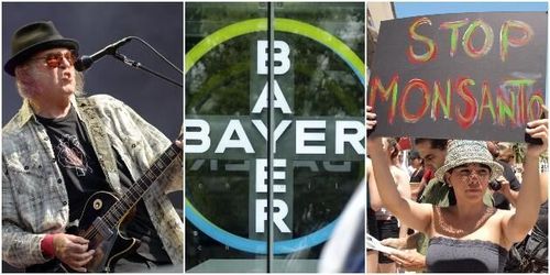 Så skulle Monsanto tysta Neil Young